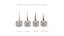 Follicular Unit Graft Types