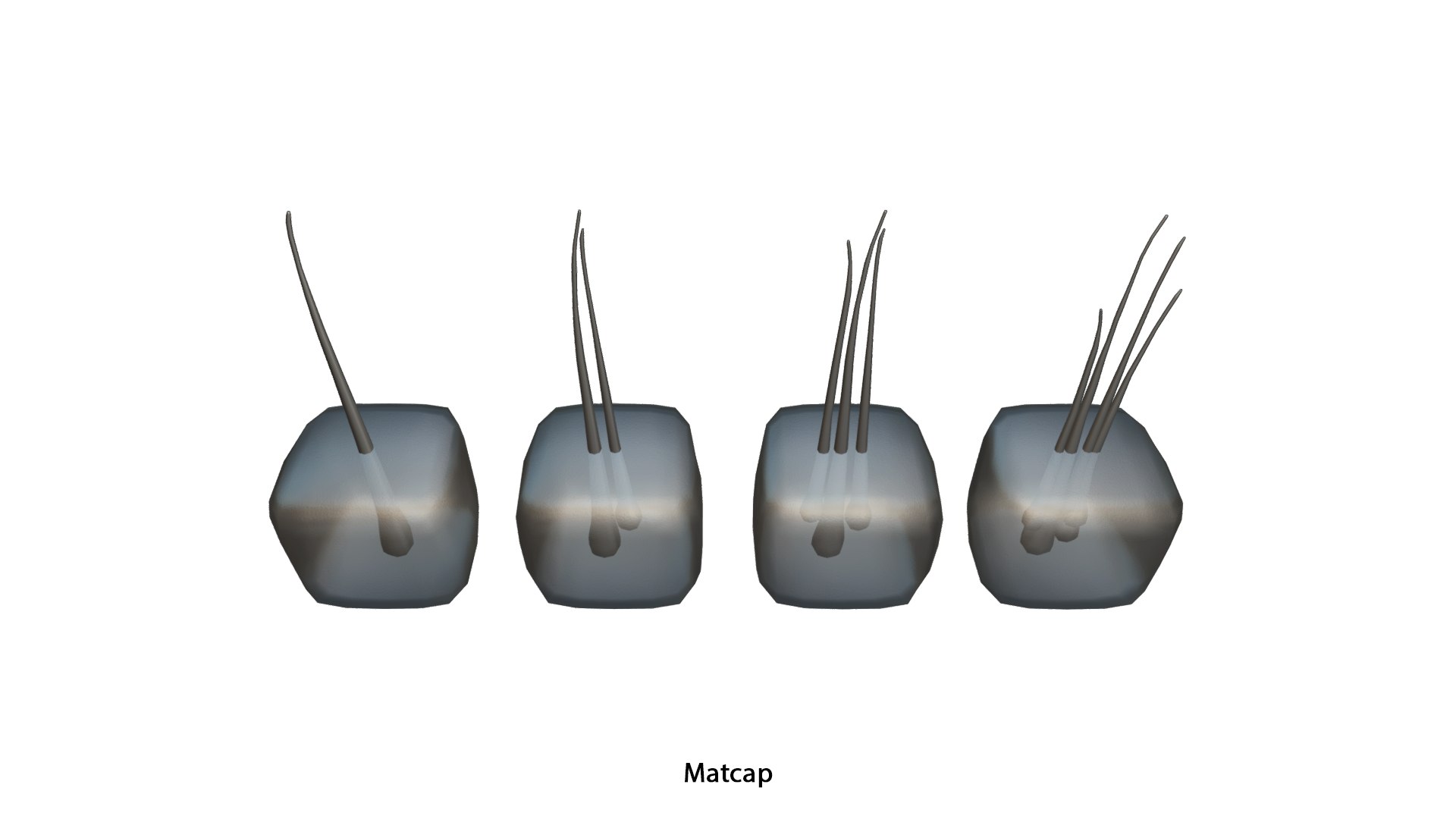 3D Follicular Unit Graft Types model https://p.turbosquid.com/ts-thumb/af/6uCXiA/xn/follicular_unit_graft_types_matcap_2/png/1766048202/1920x1080/fit_q87/5b6eda7fbfb8c55f1eb98aa000a26ade87a26d72/follicular_unit_graft_types_matcap_2.jpg