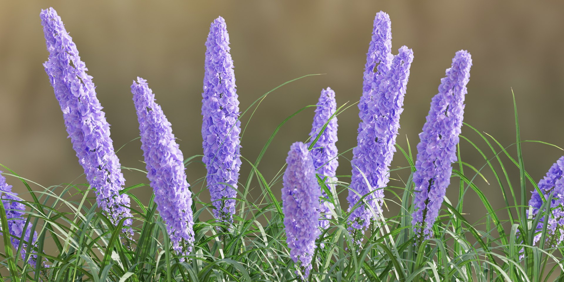 outdoor flowering bush collection vol 74-Blender model https://p.turbosquid.com/ts-thumb/af/9rGZe7/7K/5/jpg/1694696973/1920x1080/fit_q87/dda6bab15b085ae11af8005f8afc433d15c930ff/5.jpg