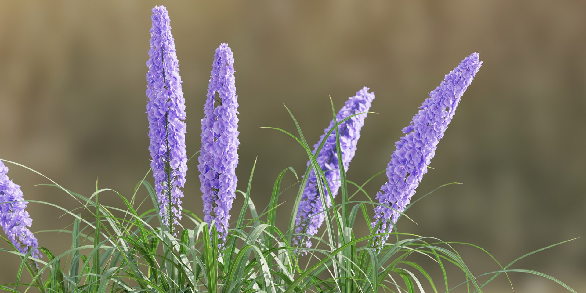 outdoor flowering bush collection vol 74-Blender model https://p.turbosquid.com/ts-thumb/af/9rGZe7/PG/4/jpg/1694696973/1920x1080/fit_q87/1f4cf85abd76648abf0ec41f0bb23974b33ead0b/4.jpg