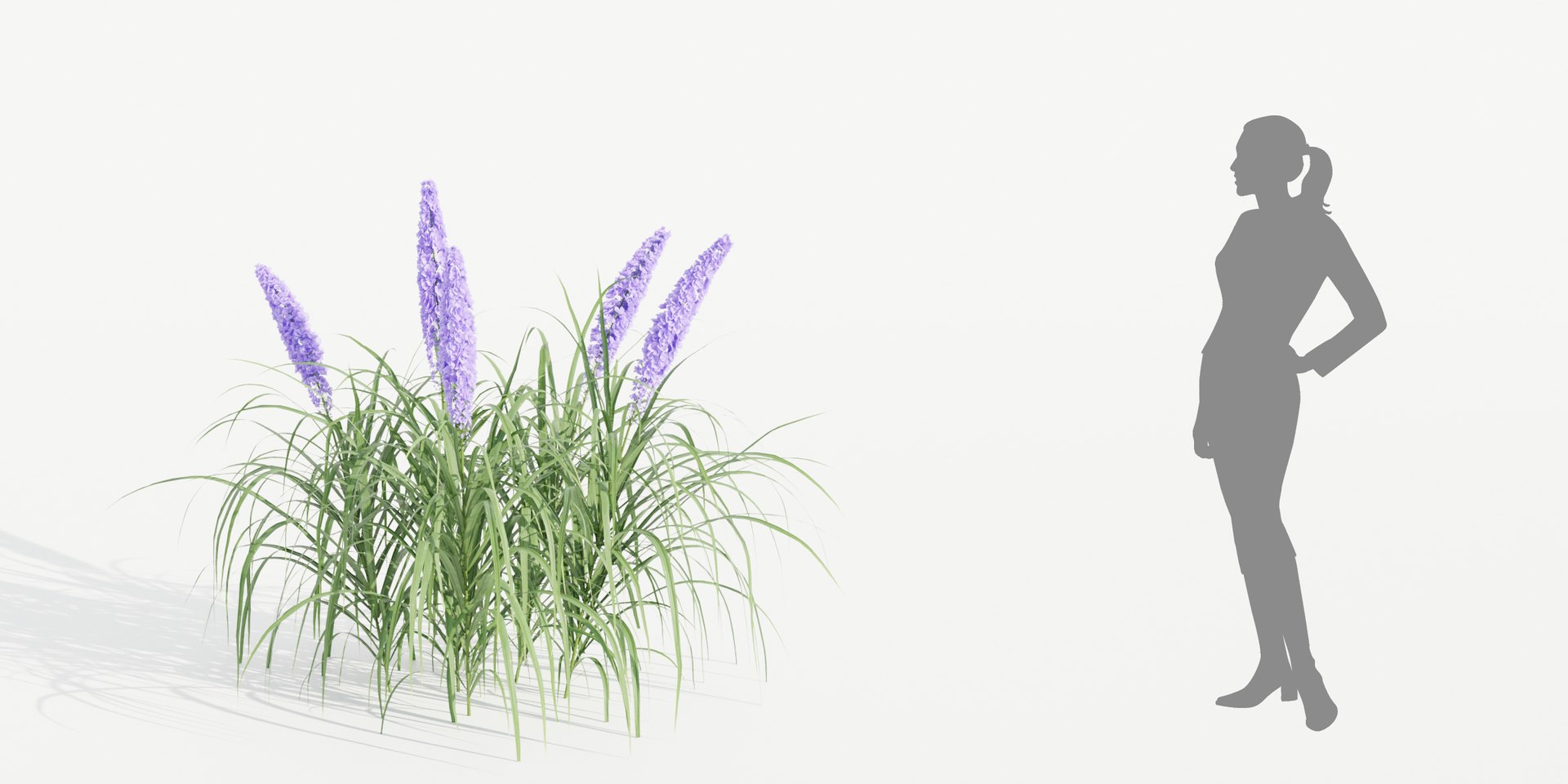 outdoor flowering bush collection vol 74-Blender model https://p.turbosquid.com/ts-thumb/af/9rGZe7/ow/3/jpg/1694696971/1920x1080/fit_q87/71eb3b56c01a0e882a329d4ba26c30f4d02b1202/3.jpg