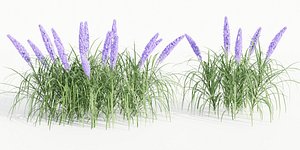 outdoor flowering bush collection vol 74-Blender model