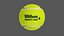Realistic Wilson Triniti Pro 4 Tennis Ball