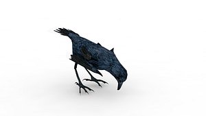 Crow