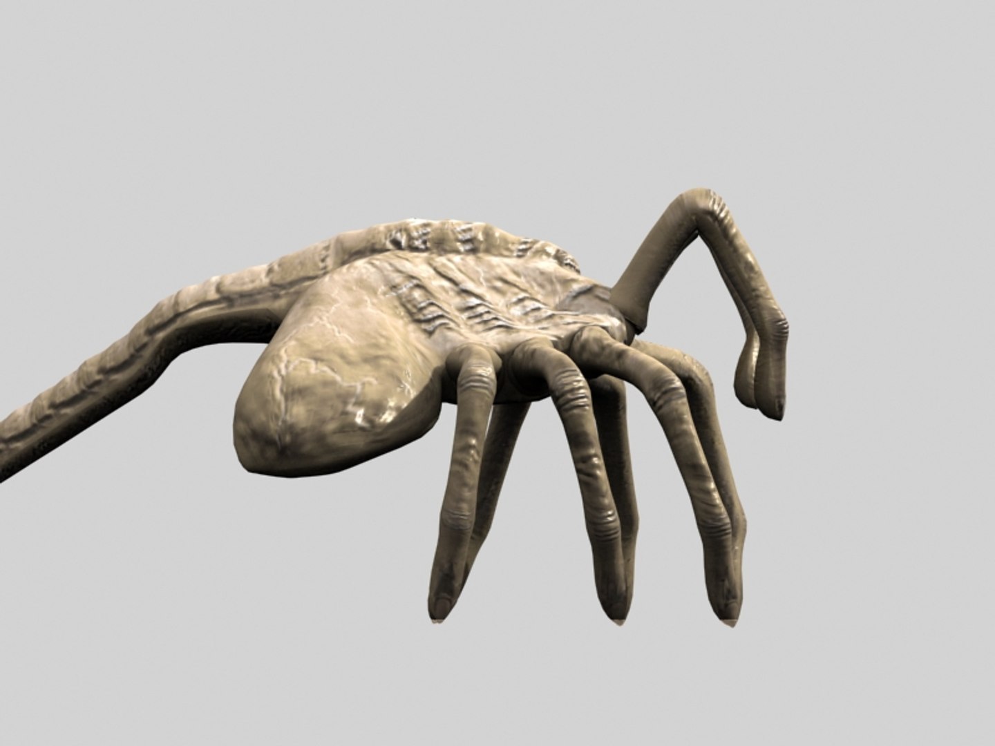 3d model alien pack xenomorph facehugger https://p.turbosquid.com/ts-thumb/af/W7edZR/0cBoJpOi/huggsell03/jpg/1314734559/1920x1080/fit_q87/6a1bbbc4f73c6d3df33dc0534cec13a0520b5c7e/huggsell03.jpg