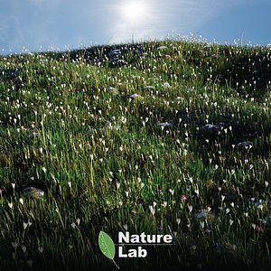 Nature Lab v1 model