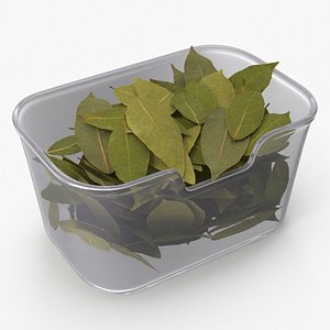 Dry Laurel Leaves in Transparent Container 3D