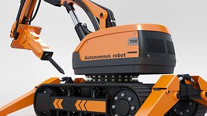 Autonomous robot