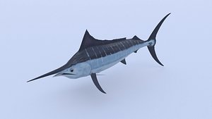 Marlin