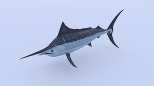 Marlin