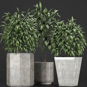 3D model plants 09