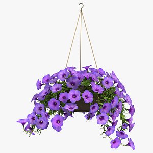 3d petunia flower model