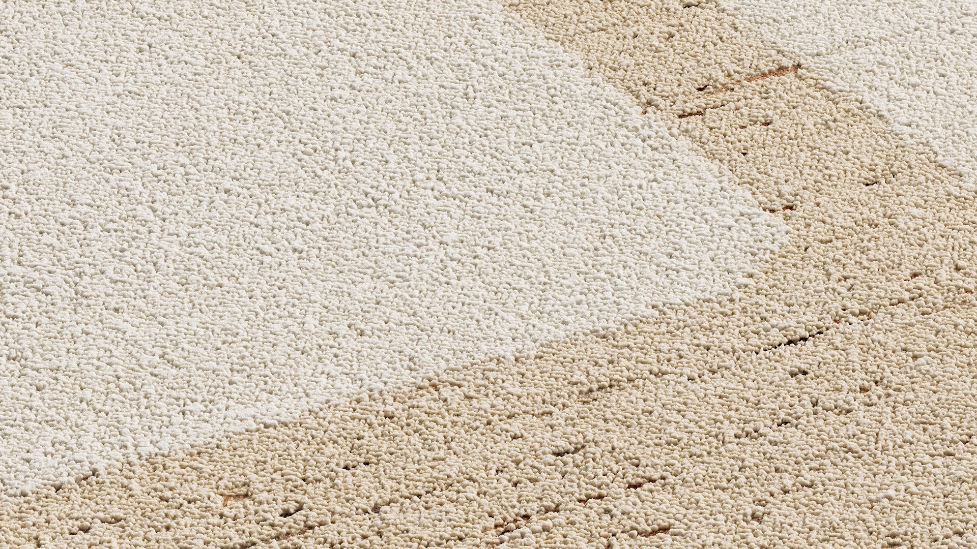 3D Napa Tumbla Rug model https://p.turbosquid.com/ts-thumb/ag/8px2Ib/lD/08/jpg/1791478768/1920x1080/fit_q87/6f1d3c60e30d4020daeae9c015bdc32f0e981fb9/08.jpg