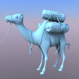 3d camel model