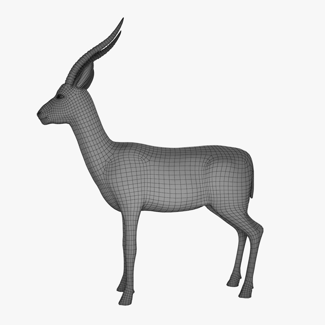 3d model of thomson gazelle - fur https://p.turbosquid.com/ts-thumb/ag/RBy4QJ/45zhMTI9/gazelle_v009.0002/jpg/1458732470/1920x1080/fit_q87/622db89e739d8f7bb01403a337c1d9fa5e927144/gazelle_v009.0002.jpg
