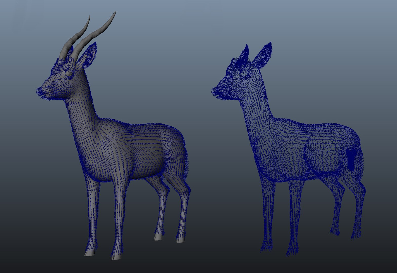 3d model of thomson gazelle - fur https://p.turbosquid.com/ts-thumb/ag/RBy4QJ/fq1SdPRw/curves/jpg/1458744885/1920x1080/fit_q87/74d347bb737c0bf57b66c5ea2fee6853d452678a/curves.jpg