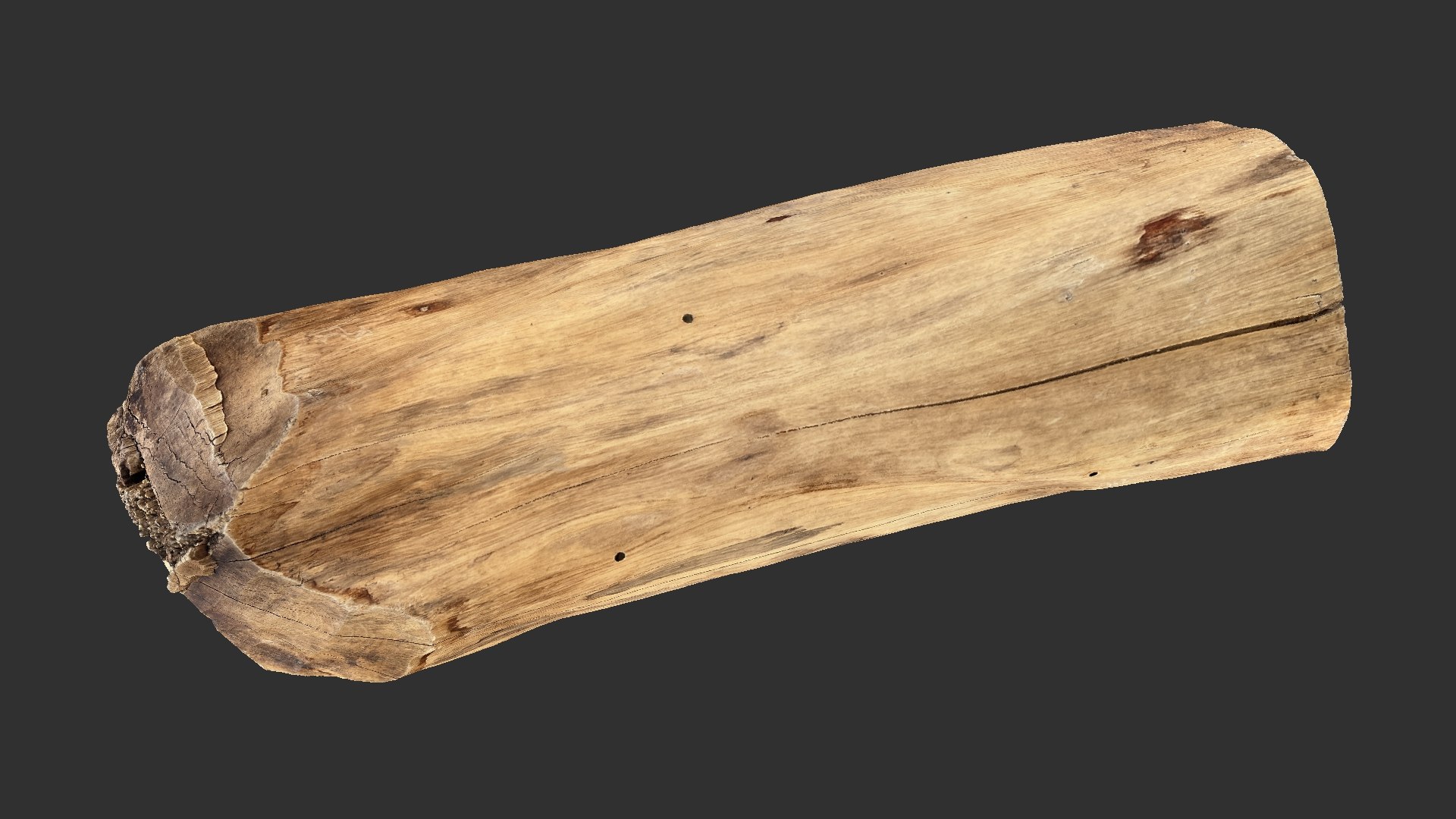 3D Scan Realistic tree timber model https://p.turbosquid.com/ts-thumb/ag/U4ozGf/5h/scr24/jpg/1709983212/1920x1080/fit_q87/66800b967676310983ef6bd39faa468d7eee5cdc/scr24.jpg