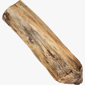 3D Scan Realistic tree timber model