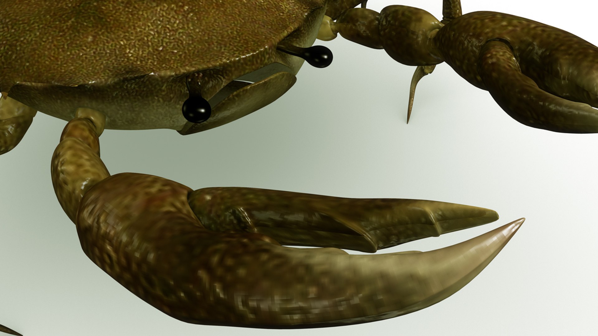 3d crab rigged