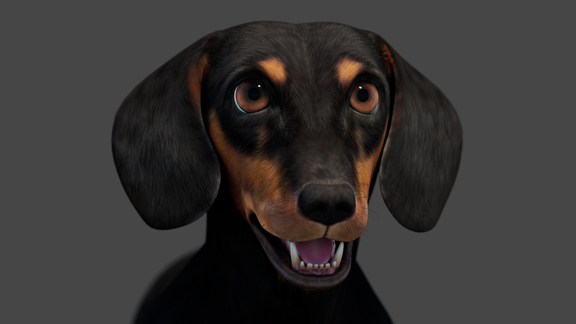 3D Black Dachshund Dog model https://p.turbosquid.com/ts-thumb/ag/oKpkdJ/38/blackdachshunddog3dmodel00011/jpg/1769086643/1920x1080/fit_q87/de5a5163debe28adee1ca4e6a8d5f6d3099df84c/blackdachshunddog3dmodel00011.jpg