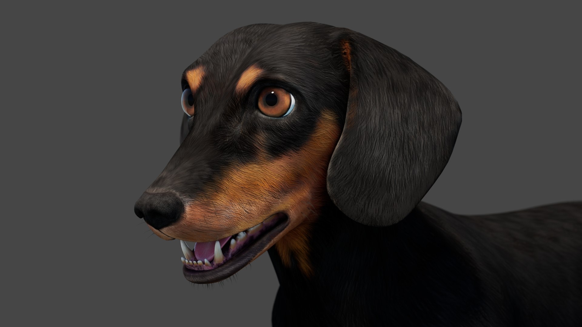 3D Black Dachshund Dog model https://p.turbosquid.com/ts-thumb/ag/oKpkdJ/6V/blackdachshunddog3dmodel00010/jpg/1769086642/1920x1080/fit_q87/e6a7e3c47c5e65311a6f0f9a6465d7542e57aeca/blackdachshunddog3dmodel00010.jpg