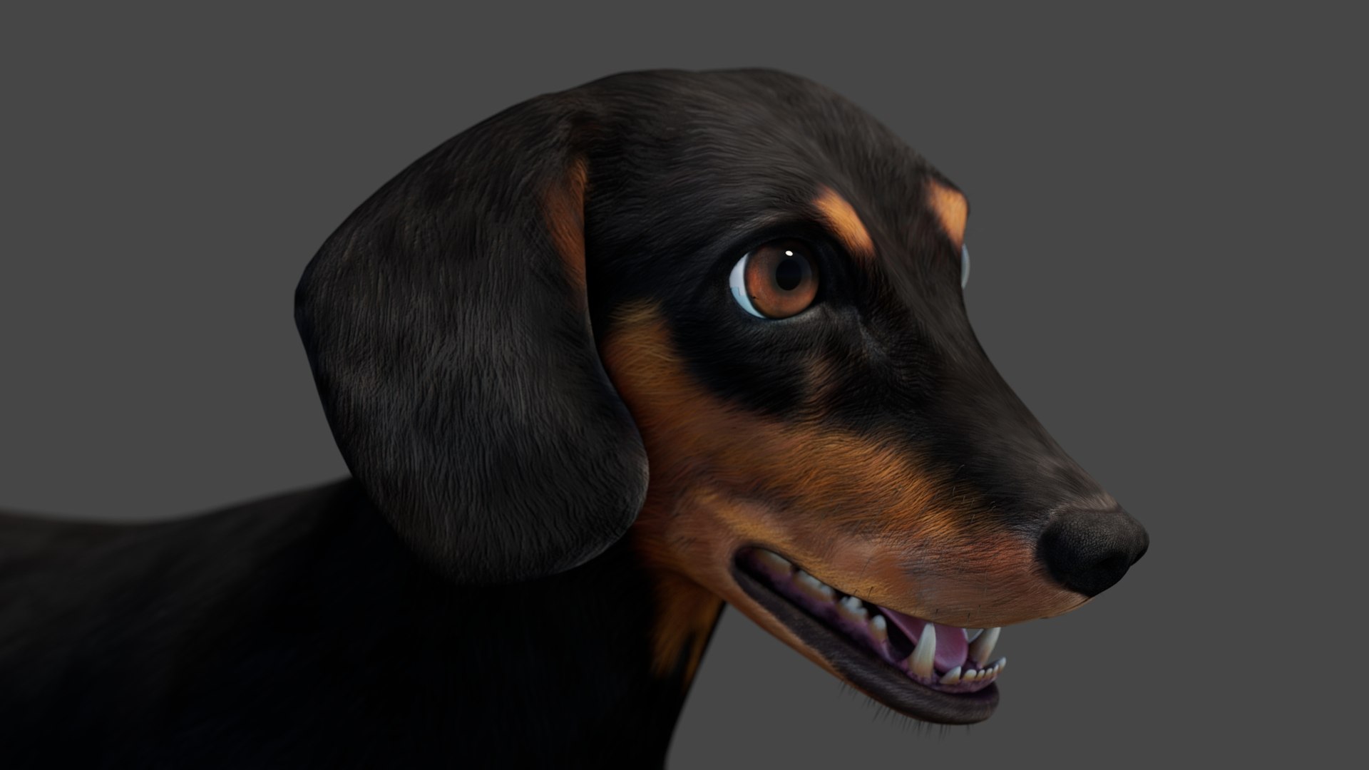 3D Black Dachshund Dog model https://p.turbosquid.com/ts-thumb/ag/oKpkdJ/74/blackdachshunddog3dmodel00012/jpg/1769086643/1920x1080/fit_q87/96e2864fdd0d31072d91bfb7474f9eaa98bf230c/blackdachshunddog3dmodel00012.jpg