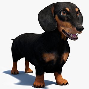 Black Dachshund Dog