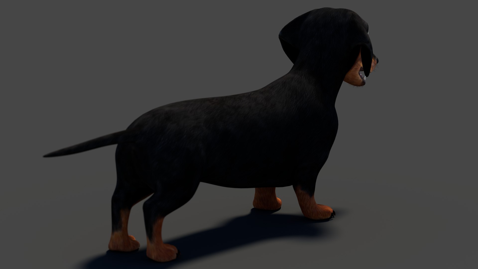 3D Black Dachshund Dog model https://p.turbosquid.com/ts-thumb/ag/oKpkdJ/GB/blackdachshunddog3dmodel00009/jpg/1769086641/1920x1080/fit_q87/4e1800943486b83079507e329f89ca80f6f6950d/blackdachshunddog3dmodel00009.jpg