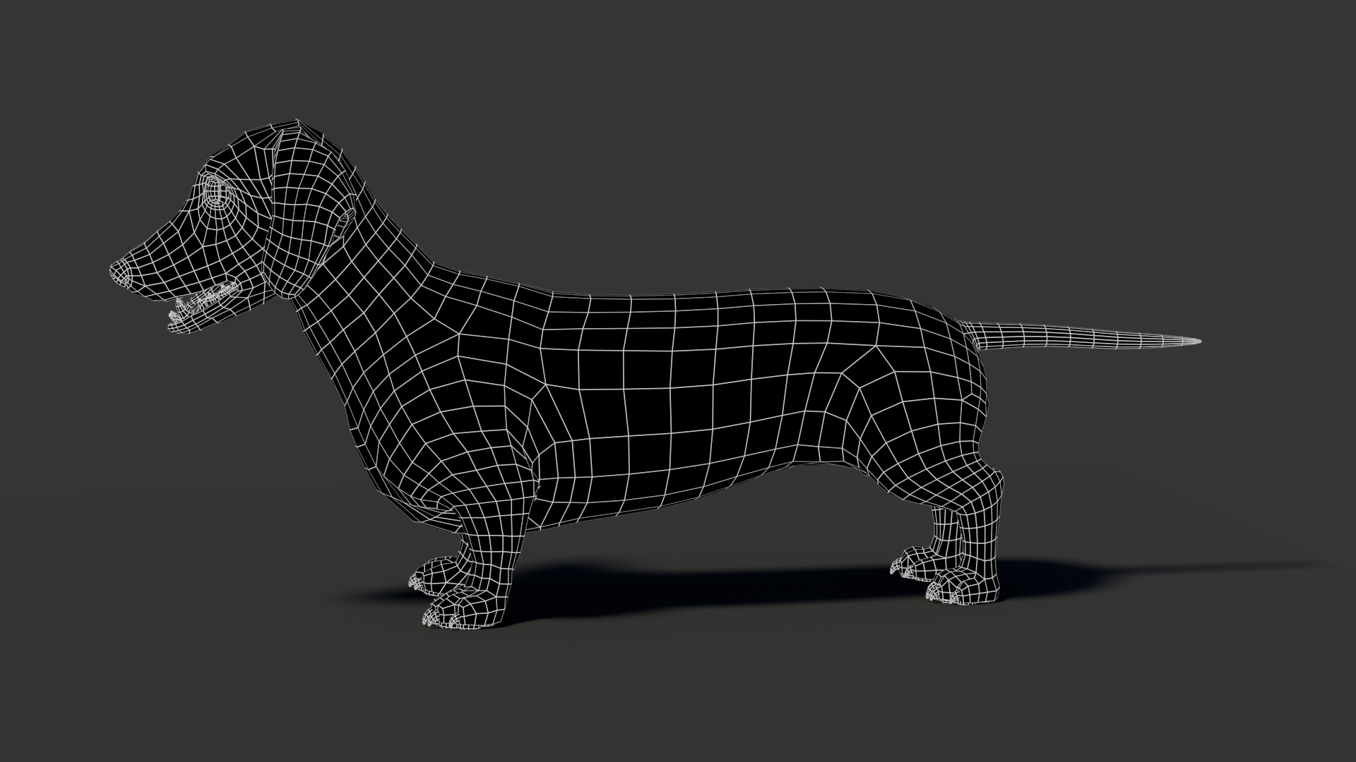 3D Black Dachshund Dog model https://p.turbosquid.com/ts-thumb/ag/oKpkdJ/b8/dachshund3dmodel360wireframeview/jpg/1769086671/1920x1080/turn_fit_q99/bec67ee981bae72a5f079a76a72aee9c05840d06/dachshund3dmodel360wireframeview-1.jpg