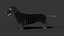 3D Black Dachshund Dog model