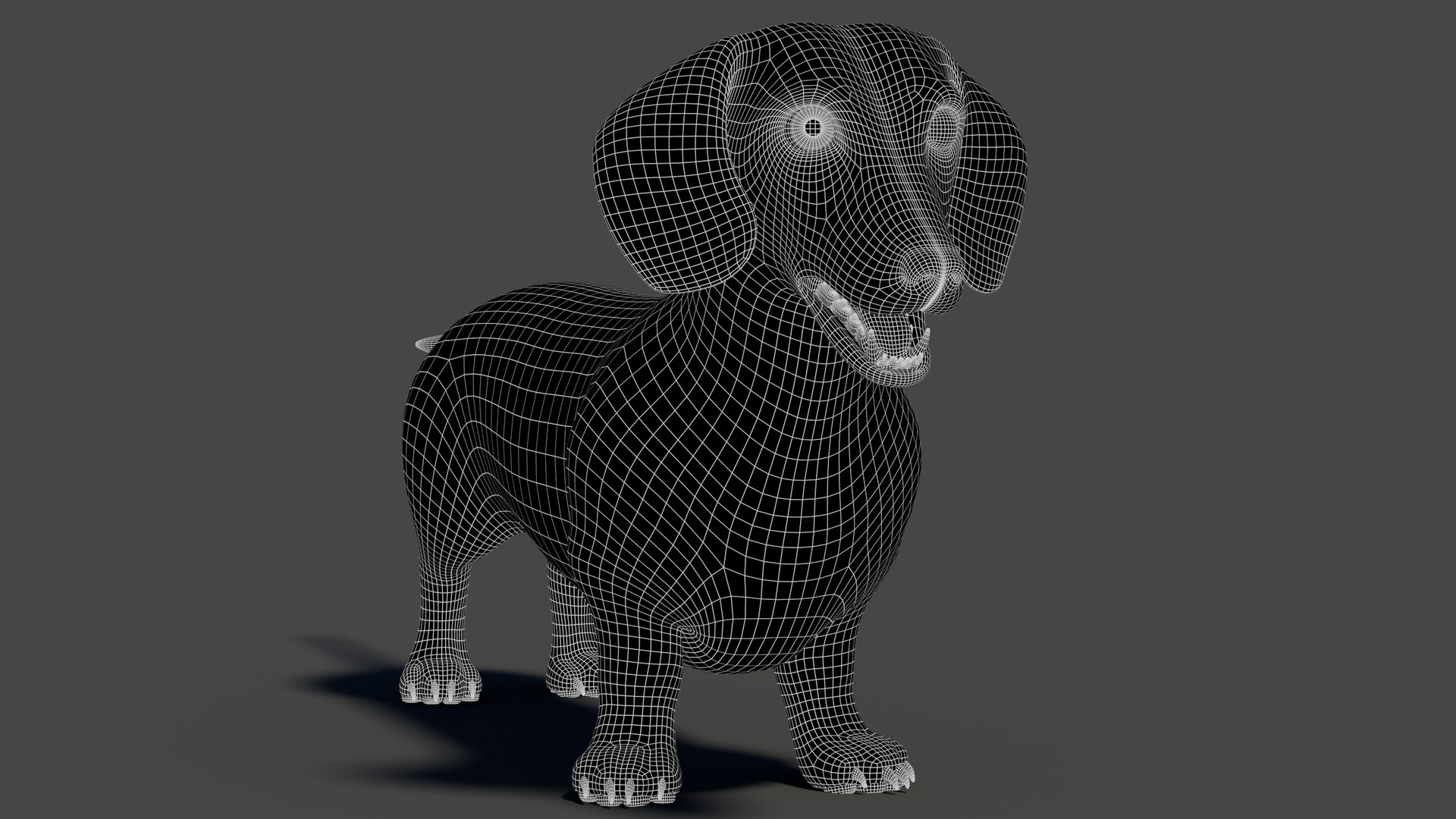 3D Black Dachshund Dog model https://p.turbosquid.com/ts-thumb/ag/oKpkdJ/dl/blackdachshunddog3dmodelwireframe02/jpg/1769086647/1920x1080/fit_q87/f93d872e35820dea394725c1a195879c75861f9a/blackdachshunddog3dmodelwireframe02.jpg