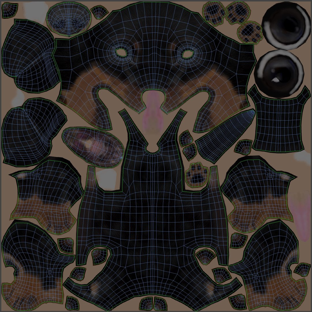 3D Black Dachshund Dog model https://p.turbosquid.com/ts-thumb/ag/oKpkdJ/v7/blackdachshunddog3dmodeluwvs/jpg/1769086644/1920x1080/fit_q87/d7a4b77fa17652d5cb532be4ed2735623924dfca/blackdachshunddog3dmodeluwvs.jpg