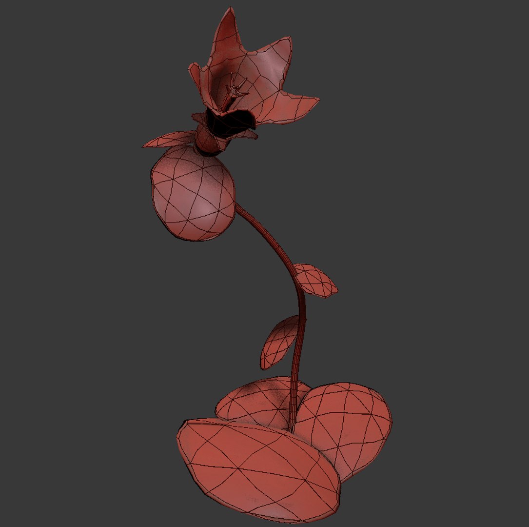 flowers open animation 3D model https://p.turbosquid.com/ts-thumb/ah/1eXLxm/6lLhSNcO/03/jpg/1594472141/1920x1080/fit_q87/39ea45204bf6a5751c6315e2388ebfc67042ac73/03.jpg