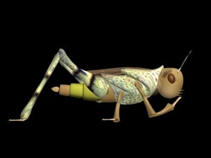 grasshopper grass 3d model