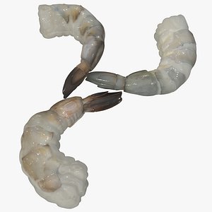 Fresh Shrimps Set