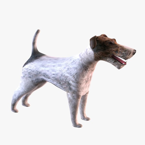 max fox terrier