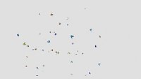 Butterflies swarm