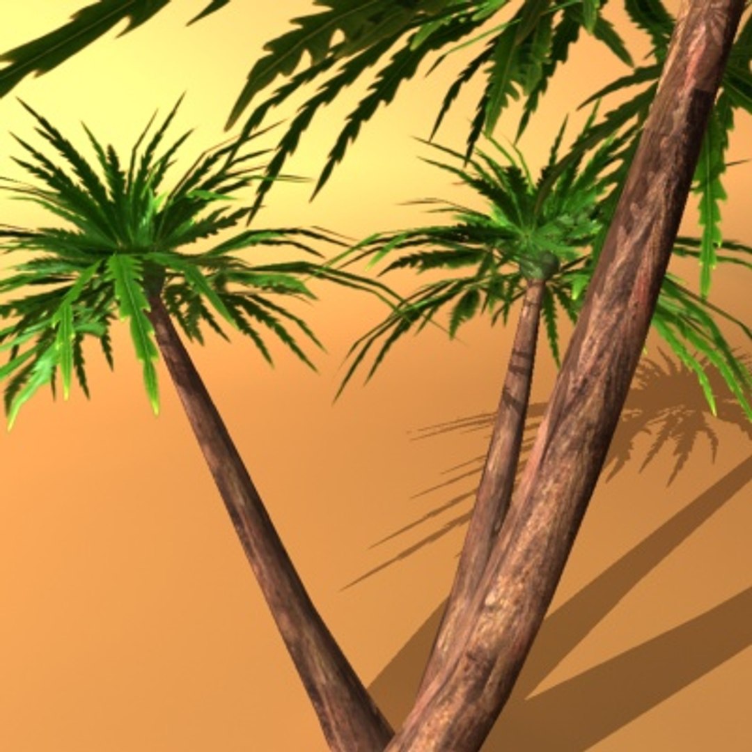 palm max