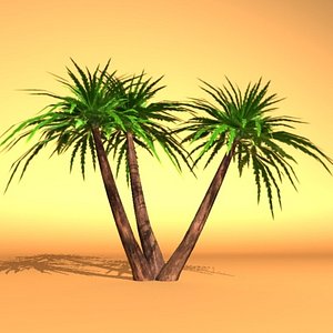 palm max