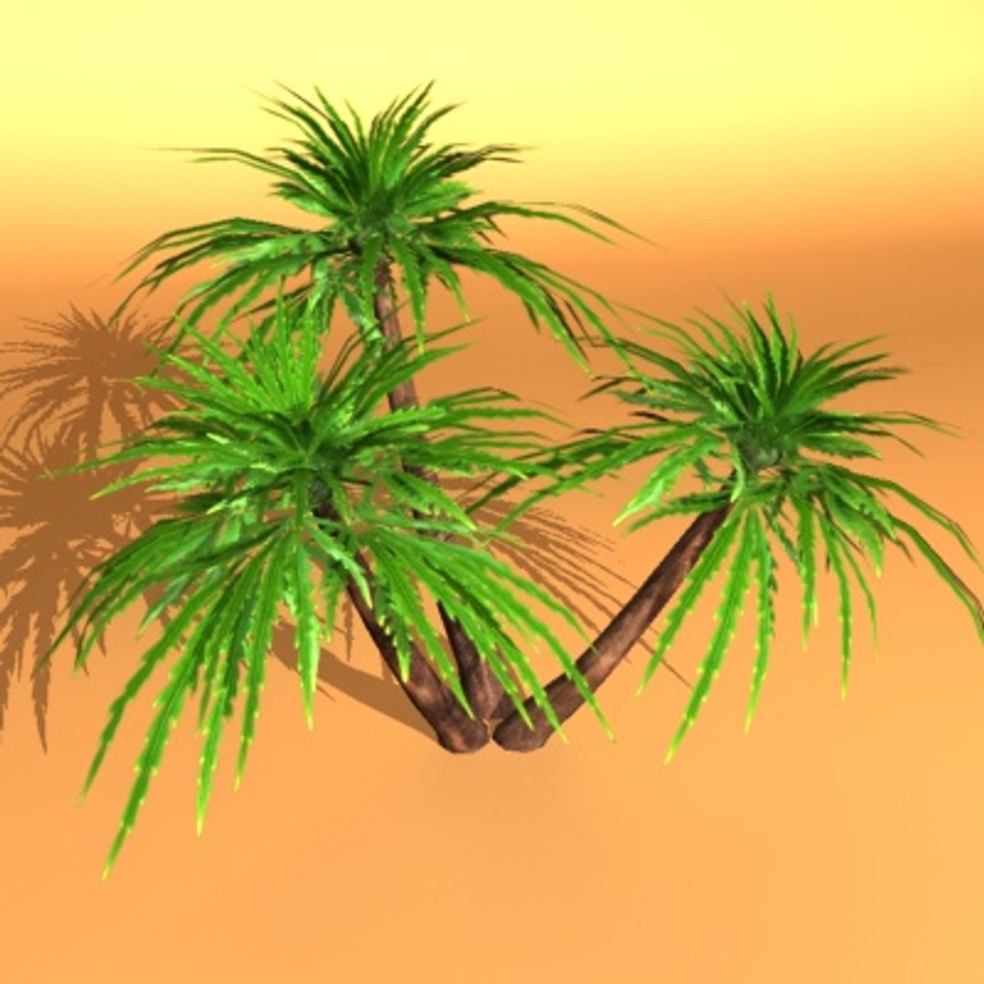 palm max