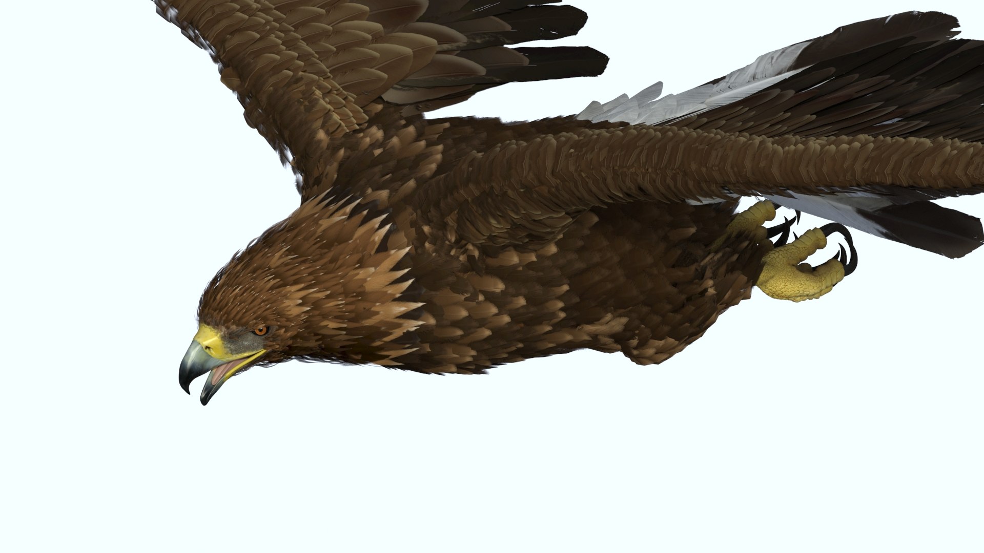 Flying Golden Eagle 3D model preview