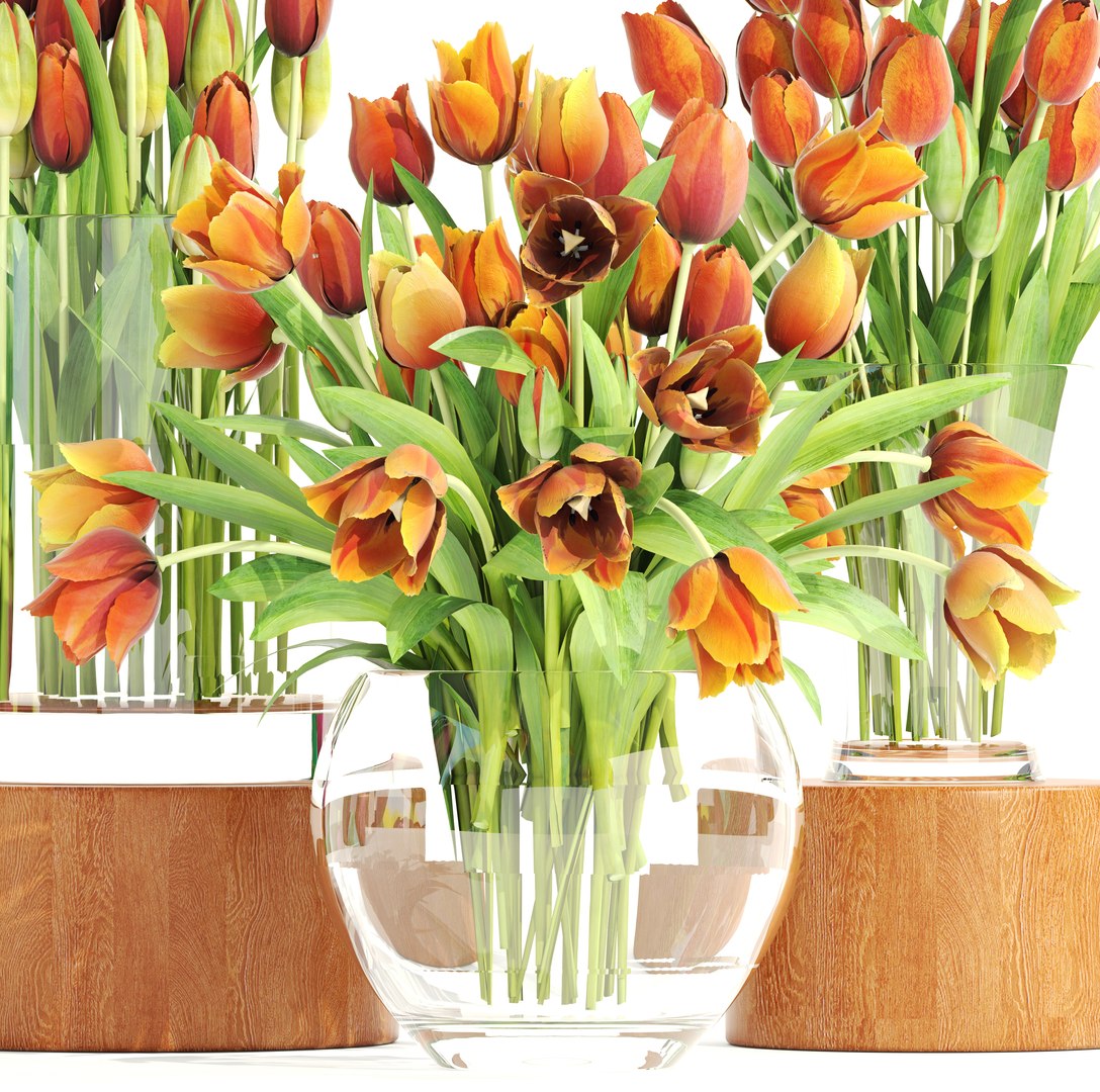3D Bouquet Tulips Set Model - TurboSquid 1264502