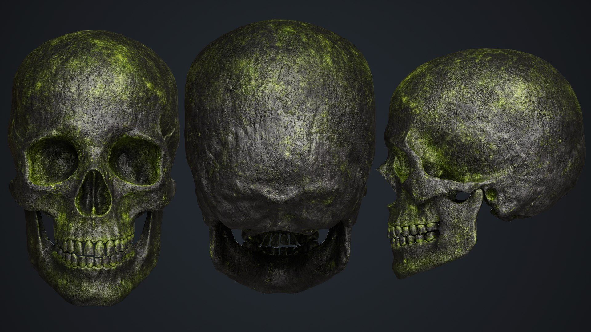 Skull 3D model https://p.turbosquid.com/ts-thumb/ai/ErKWkN/5x/17/jpg/1751211118/1920x1080/fit_q87/a51daf4a3d3b19068730a009777aae4d97dd878f/17.jpg