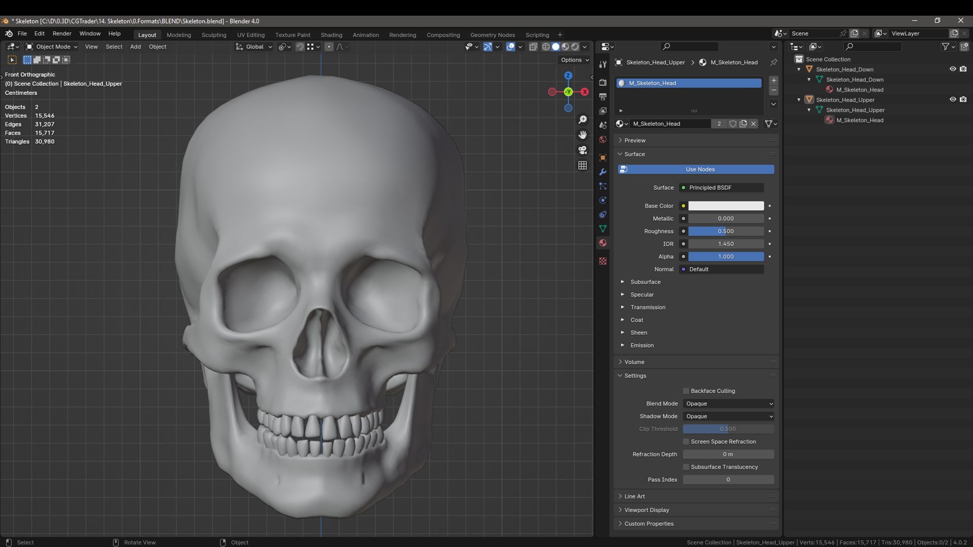Skull 3D model https://p.turbosquid.com/ts-thumb/ai/ErKWkN/Cf/19.blenderscreenshot/jpg/1751211118/1920x1080/fit_q87/bf06056460e10c976cdfb42d6ae6cd5d8265aaff/19.blenderscreenshot.jpg
