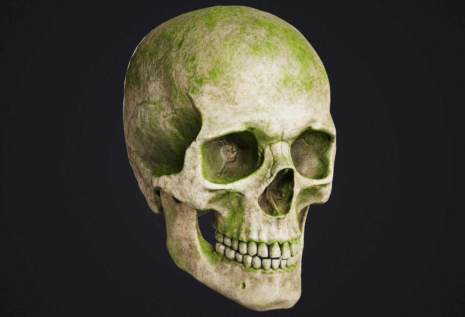 Skull 3D model https://p.turbosquid.com/ts-thumb/ai/ErKWkN/R2/999_1/jpg/1751211096/1920x1080/fit_q87/f140c8b60a1110597e72ff415d4c3c8731531898/999_1.jpg