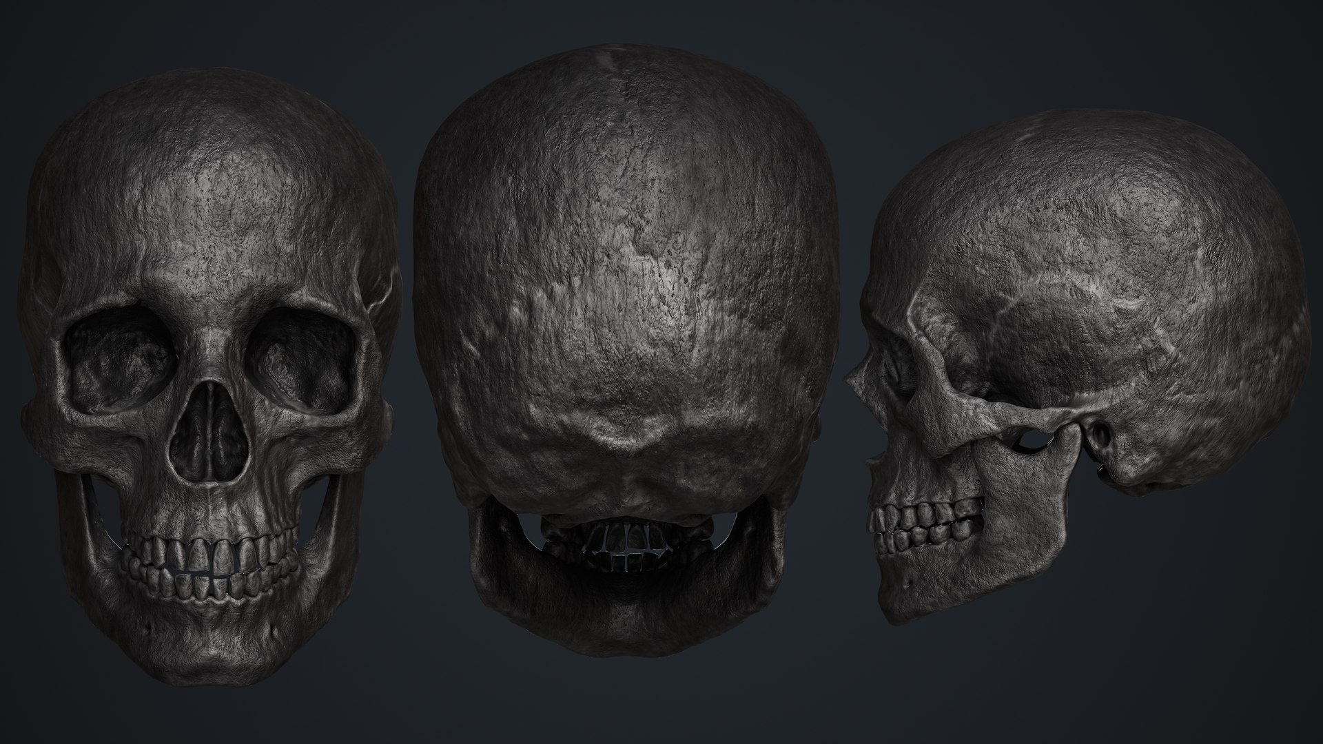 Skull 3D model https://p.turbosquid.com/ts-thumb/ai/ErKWkN/mV/15/jpg/1751211114/1920x1080/fit_q87/4e965ebfcf0bf31b475a3f87b2deb7daffe3ac2d/15.jpg