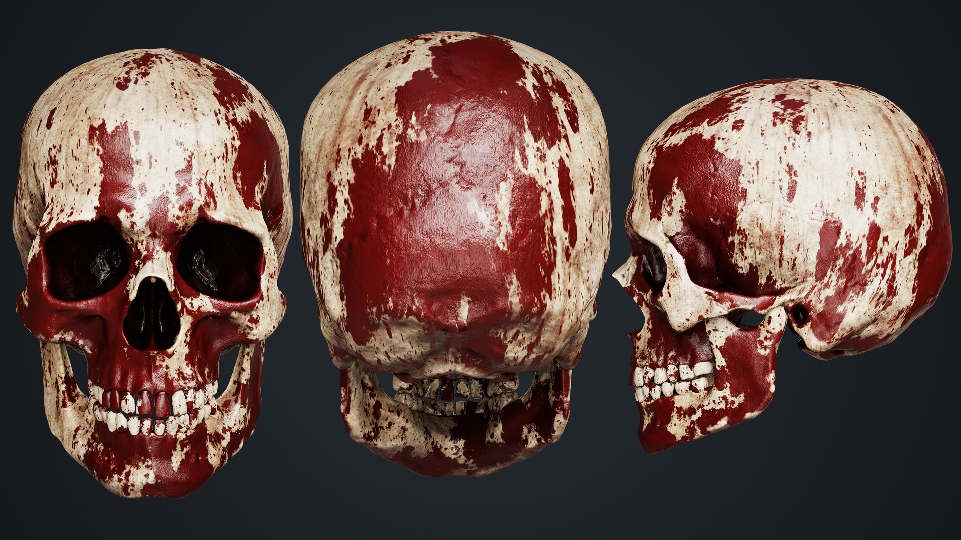 Skull 3D model https://p.turbosquid.com/ts-thumb/ai/ErKWkN/uN/14/jpg/1751211115/1920x1080/fit_q87/35a481a33368878aefb89505a4307d95ef9d9eb4/14.jpg