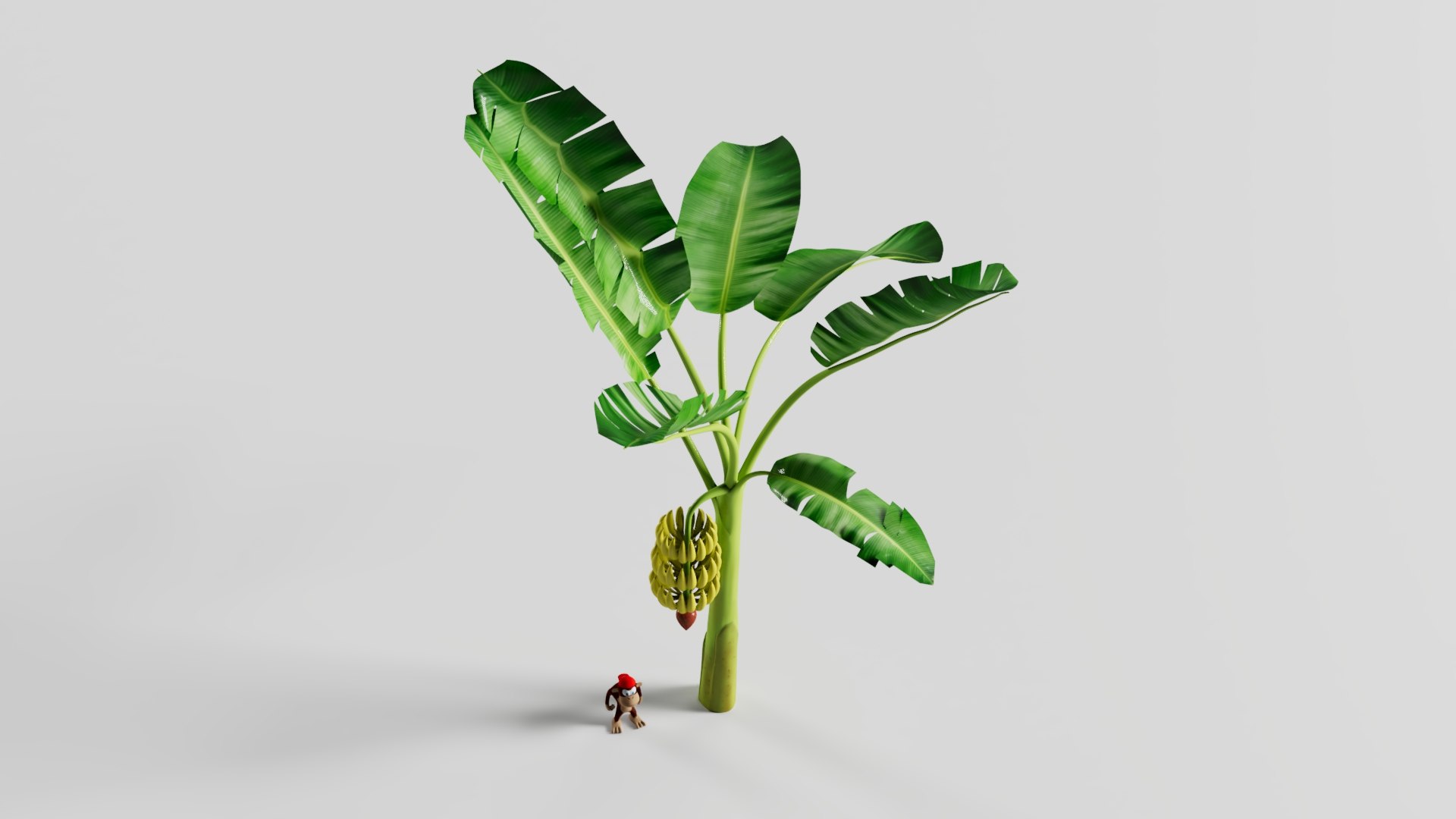 3D Model Banana Tree - TurboSquid 2022256