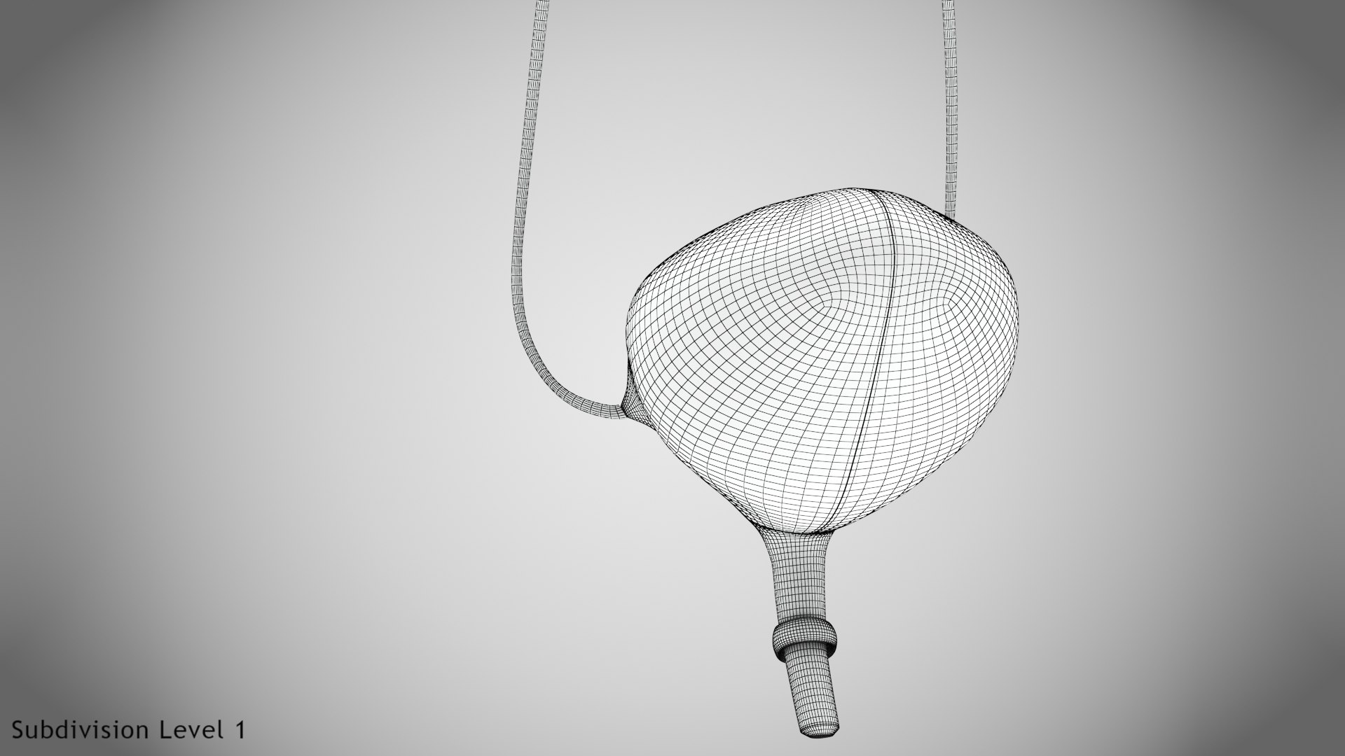 Bladder with anatomic cut 3D https://p.turbosquid.com/ts-thumb/ai/QVyHuz/7q/wire0005copy/jpg/1643634567/1920x1080/fit_q87/fec706cfa7458bb6bb3e398791dd86e0296fec09/wire0005copy.jpg