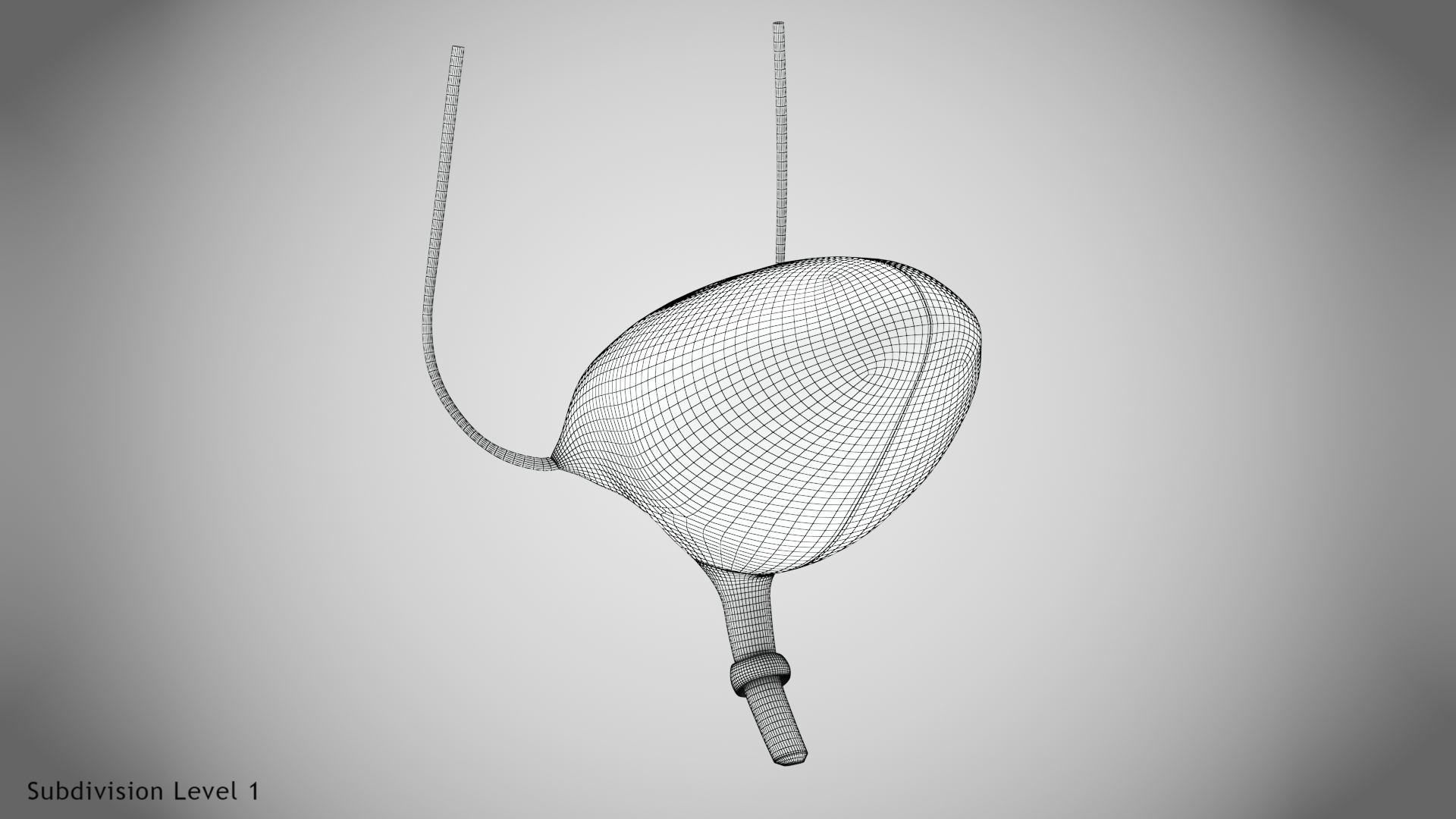 Bladder with anatomic cut 3D https://p.turbosquid.com/ts-thumb/ai/QVyHuz/CY/ww/jpg/1643634233/1920x1080/turn_fit_q99/0faed11b59c1342ab9aaec57defc060b39deceb1/ww-1.jpg